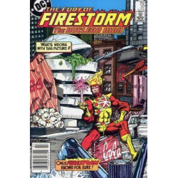 Fury of Firestorm  Issue 37