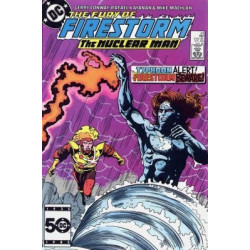 Fury of Firestorm  Issue 43