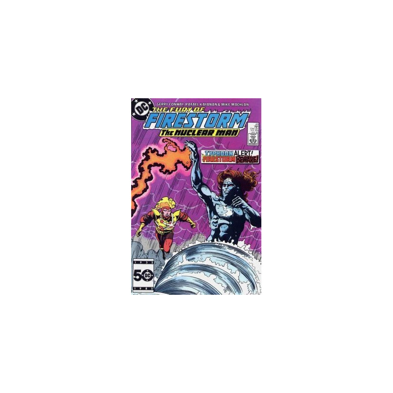 Fury of Firestorm  Issue 43