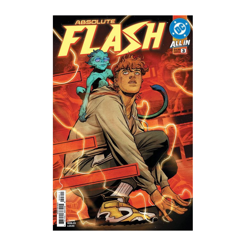 Absolute Flash Issue  3