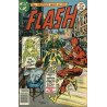 The Flash Vol. 1 Issue 248