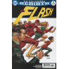The Flash Vol. 5 Issue  3b Variant