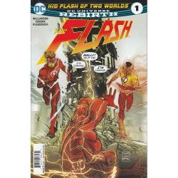 The Flash Vol. 5 Issue  9w