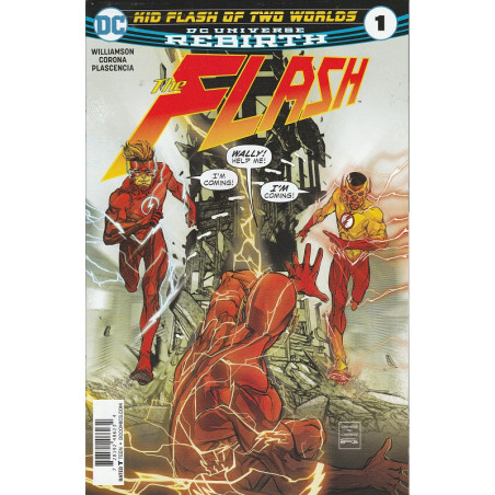 The Flash Vol. 5 Issue  9w