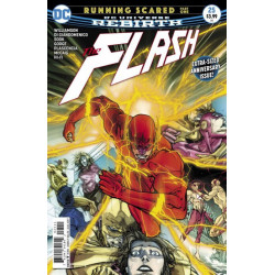 The Flash Vol. 5 Issue 25