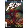 The Flash Vol. 5 Issue 28