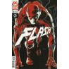 The Flash Vol. 5 Issue 56