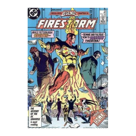 Fury of Firestorm  Issue 56