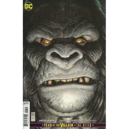 Justice League Vol. 4 Issue 27b Variant