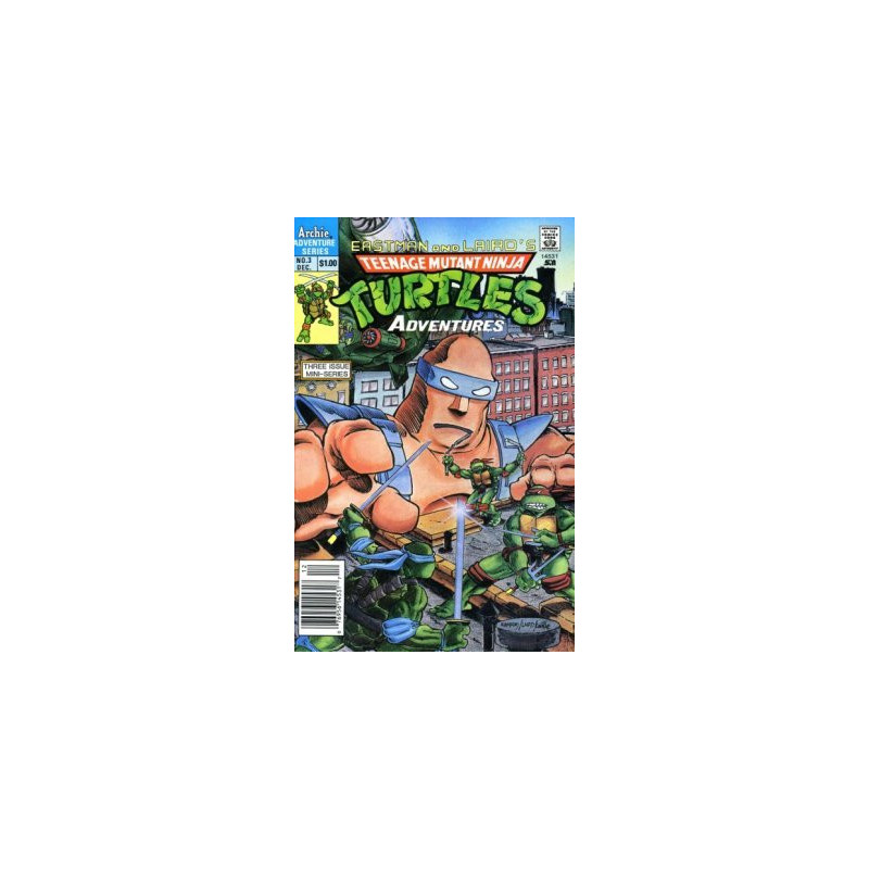 Teenage Mutant Ninja Turtles Adventures Vol. 1 Issue 3