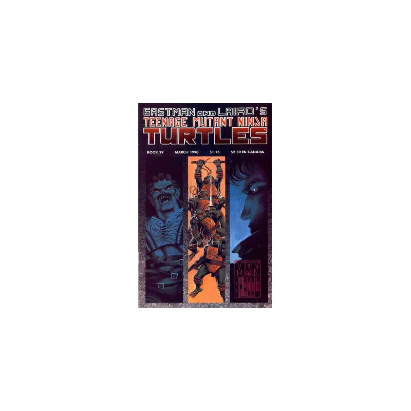 Teenage Mutant Ninja Turtles Vol. 1 Issue 29