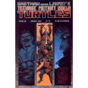 Teenage Mutant Ninja Turtles Vol. 1 Issue 29