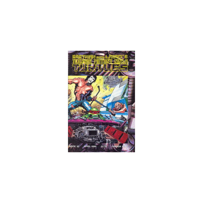 Teenage Mutant Ninja Turtles Vol. 1 Issue 30