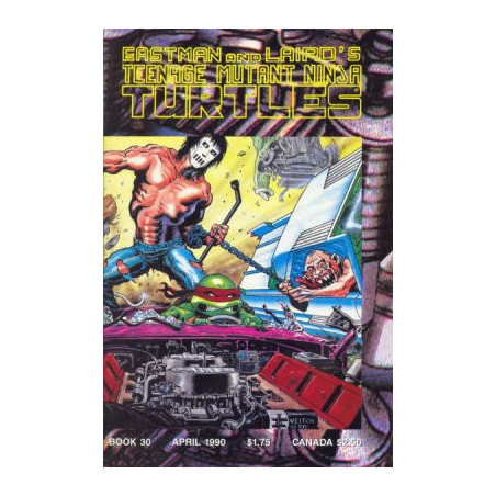 Teenage Mutant Ninja Turtles Vol. 1 Issue 30