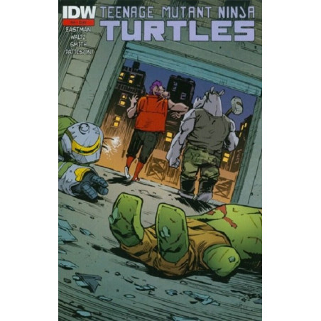 Teenage Mutant Ninja Turtles Vol. 6 Issue  44-2nd print Variant