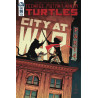 Teenage Mutant Ninja Turtles Vol. 6 Issue  96