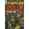 Teenage Mutant Ninja Turtles Vol. 6 Issue  98b Variant