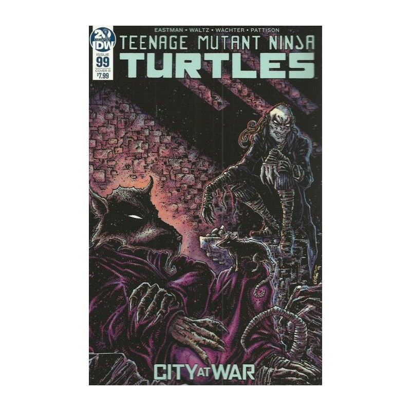 Teenage Mutant Ninja Turtles Vol. 6 Issue  99b Variant