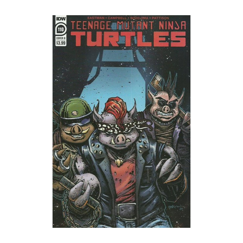 Teenage Mutant Ninja Turtles Vol. 6 Issue 110b Variant
