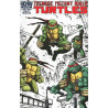 Teenage Mutant Ninja Turtles Vol. 6 Issue ashcan-a