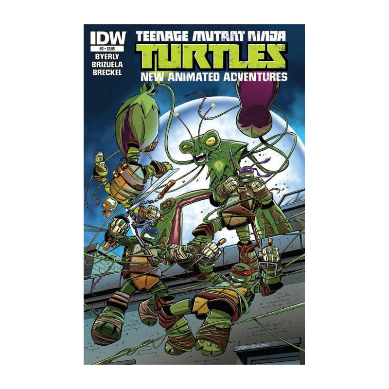 Teenage Mutant Ninja Turtles: New Animated Adventures  Issue 2