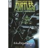 Teenage Mutant Ninja Turtles: Urban Legends  Issue 17
