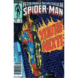 Spectacular Spider-Man Vol. 1 Issue 103
