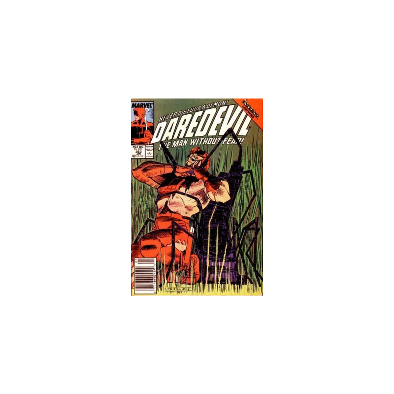 Daredevil Vol. 1 Issue 262