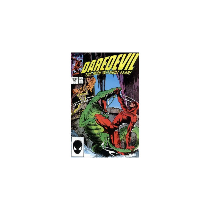 Daredevil Vol. 1 Issue 247