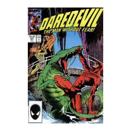 Daredevil Vol. 1 Issue 247
