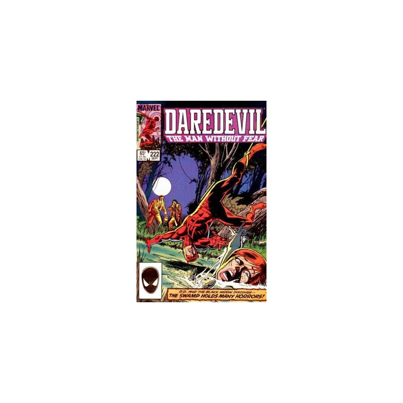 Daredevil Vol. 1 Issue 222