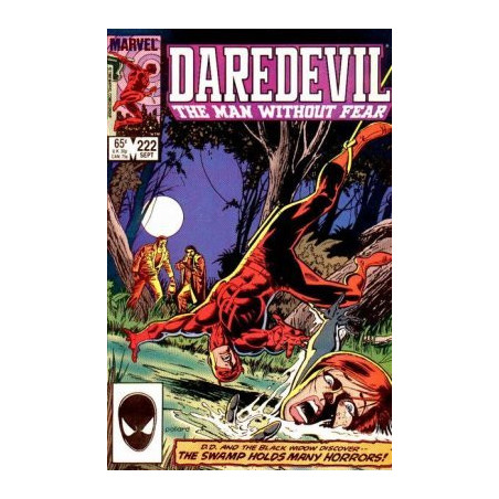 Daredevil Vol. 1 Issue 222