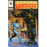 Eternal Warrior Vol. 1 Issue 17