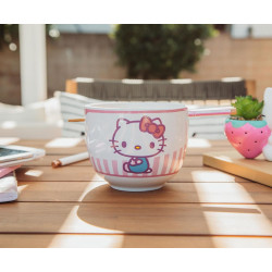 Hello Kitty Tokyo Pink Stripes Ramen Bowl with Chopsticks and Spoon