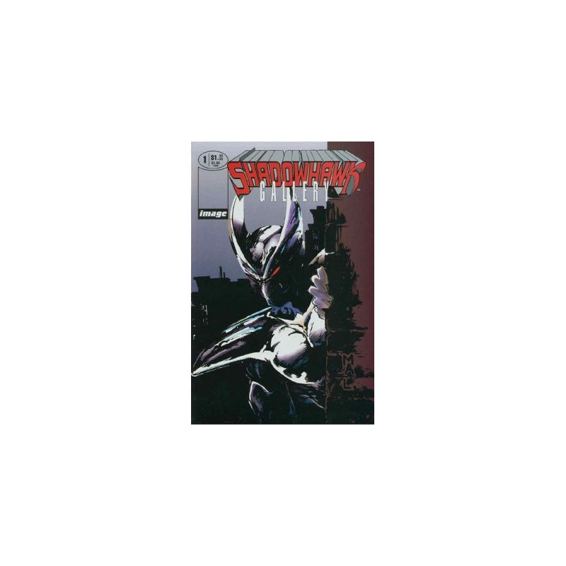 Shadowhawk Gallery One-Shot Issue 1