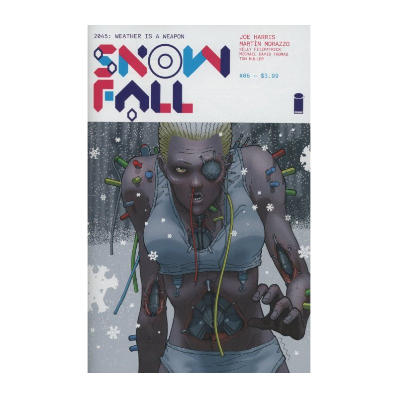 SnowFall  Issue 6