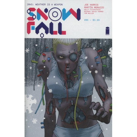 SnowFall  Issue 6