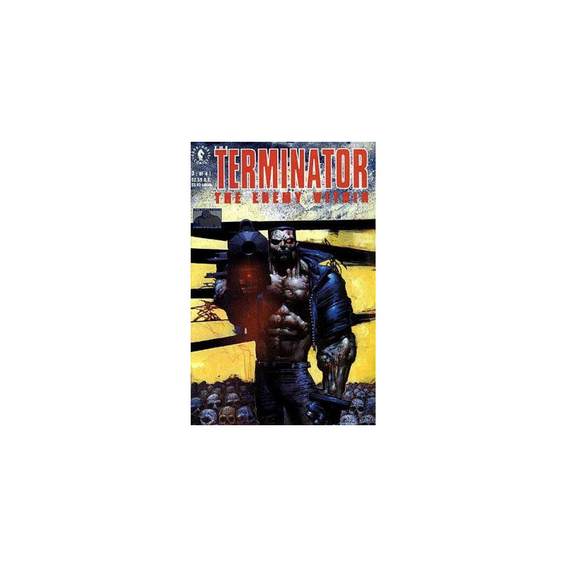 Terminator: Enemy Within Mini Issue 3