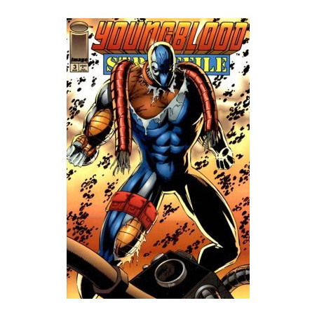 Youngblood: Strikefile  Issue 3