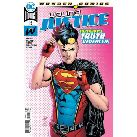 Young Justice Vol. 3 Issue 15