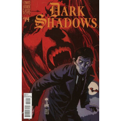 Dark Shadows Vol. 6 Issue 14