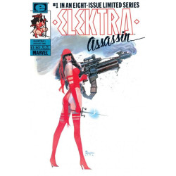 Elektra: Assassin  Issue 1