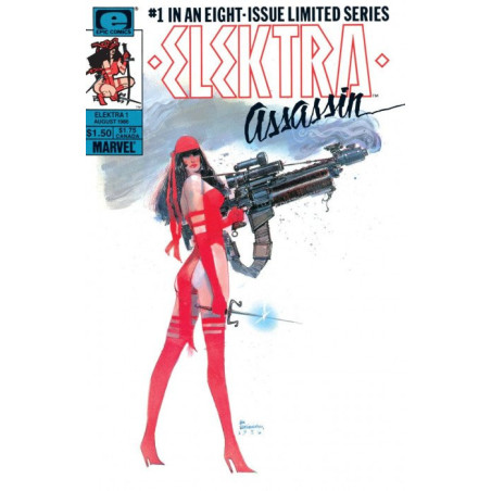Elektra: Assassin  Issue 1