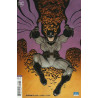 Batman Vol. 3 Issue  50b Variant
