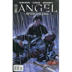 Angel: After the Fall  Issue 13b Variant