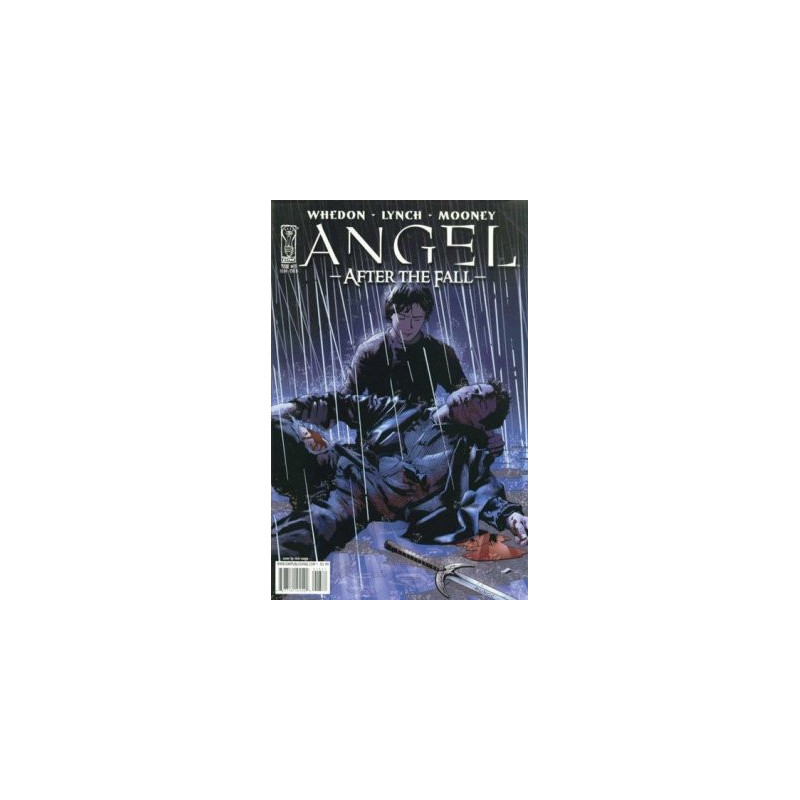 Angel: After the Fall  Issue 13b Variant