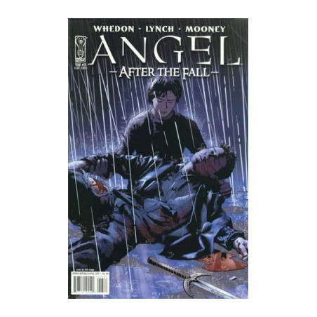 Angel: After the Fall  Issue 13b Variant