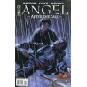 Angel: After the Fall  Issue 13b Variant