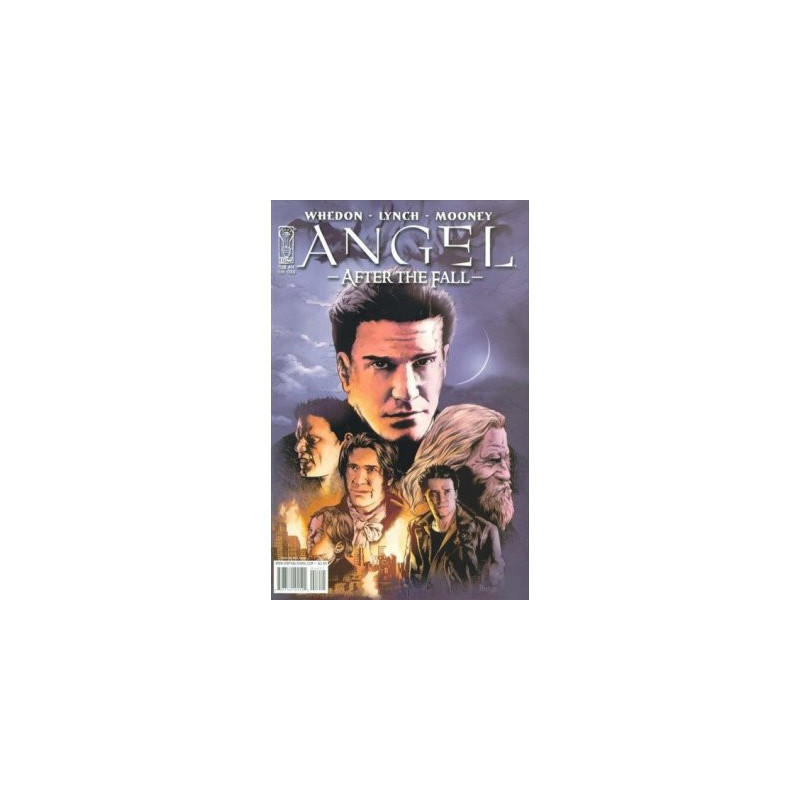 Angel: After the Fall  Issue 14b Variant