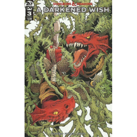 Dungeons & Dragons: A Darkened Wish  Issue 3